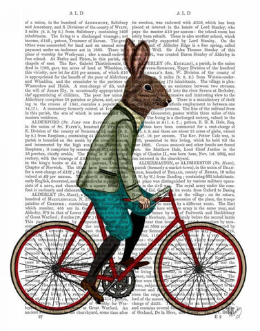 Rabbit On Bike White Modern Wood Framed Art Print with Double Matting by Fab Funky