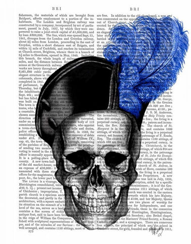 Skull with Blue Hat White Modern Wood Framed Art Print with Double Matting by Fab Funky