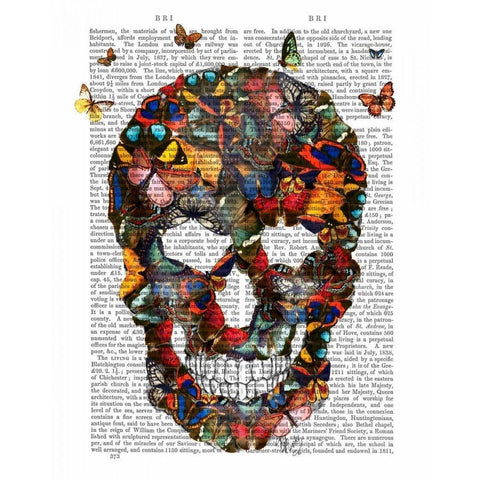 Butterfly Skull Black Modern Wood Framed Art Print with Double Matting by Fab Funky