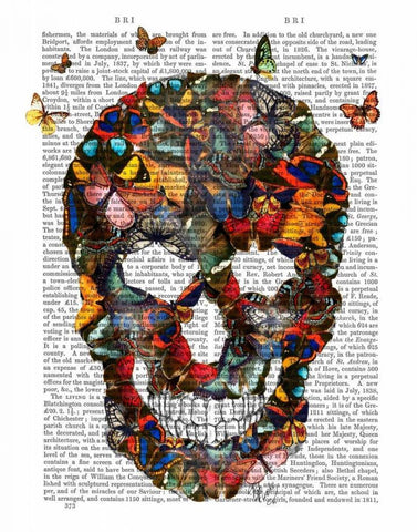 Butterfly Skull White Modern Wood Framed Art Print with Double Matting by Fab Funky