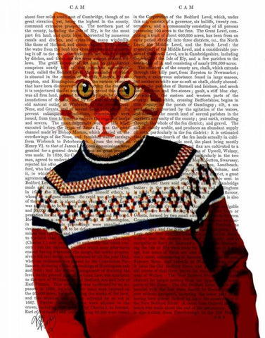 Cat in Ski Sweater White Modern Wood Framed Art Print with Double Matting by Fab Funky