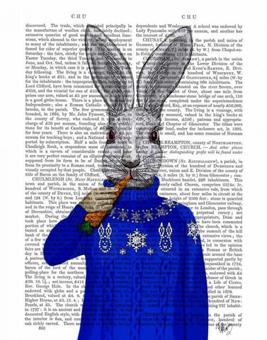 Rabbit In Sweater White Modern Wood Framed Art Print with Double Matting by Fab Funky