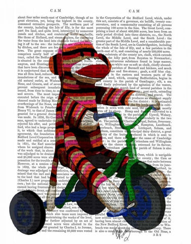 Sock Monkey on Tricycle White Modern Wood Framed Art Print with Double Matting by Fab Funky