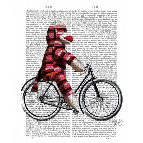 Sock Monkey on Bicycle Gold Ornate Wood Framed Art Print with Double Matting by Fab Funky