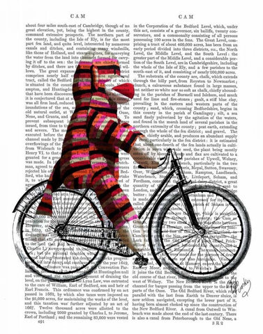 Sock Monkey on Bicycle Black Ornate Wood Framed Art Print with Double Matting by Fab Funky