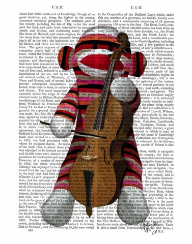 Sock Monkey and Cello Black Ornate Wood Framed Art Print with Double Matting by Fab Funky