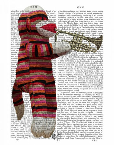 Sock Monkey Playing Trumpet Black Ornate Wood Framed Art Print with Double Matting by Fab Funky