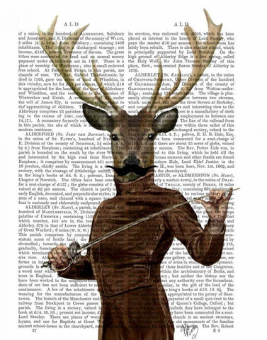 Fencing Deer Portrait Black Ornate Wood Framed Art Print with Double Matting by Fab Funky