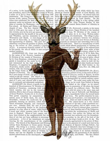 Fencing Deer Full White Modern Wood Framed Art Print with Double Matting by Fab Funky