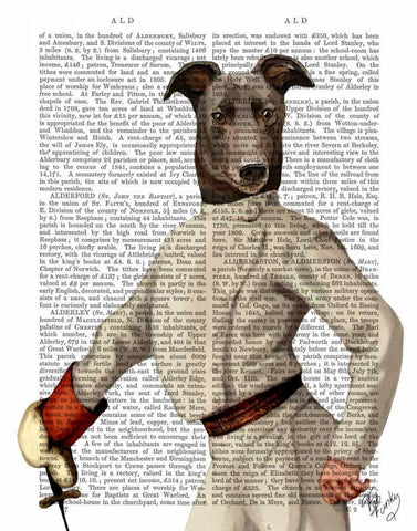 Greyhound Fencer in Cream Portrait Black Ornate Wood Framed Art Print with Double Matting by Fab Funky