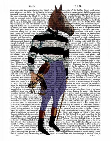 Horse Racing Jockey Full White Modern Wood Framed Art Print with Double Matting by Fab Funky