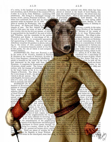 Greyhound Fencer Dark Portrait White Modern Wood Framed Art Print with Double Matting by Fab Funky