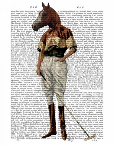 Polo Horse Full White Modern Wood Framed Art Print with Double Matting by Fab Funky