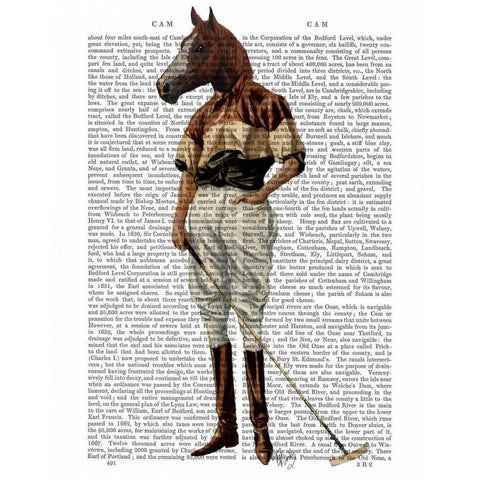 Polo Horse Full Black Modern Wood Framed Art Print with Double Matting by Fab Funky