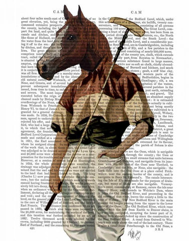 Polo Horse Portrait White Modern Wood Framed Art Print with Double Matting by Fab Funky