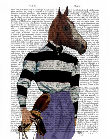 Horse Racing Jockey Portrait White Modern Wood Framed Art Print with Double Matting by Fab Funky