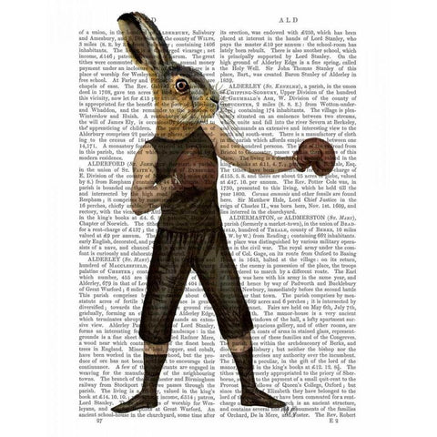 Boxing Hare White Modern Wood Framed Art Print by Fab Funky