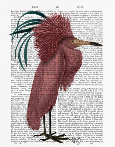 Crested Marsala Bird Black Ornate Wood Framed Art Print with Double Matting by Fab Funky