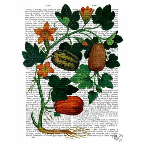 Squash Vine 1 Gold Ornate Wood Framed Art Print with Double Matting by Fab Funky