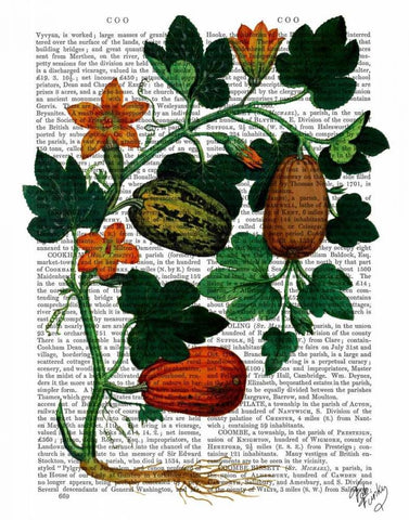 Squash Vine 1 White Modern Wood Framed Art Print with Double Matting by Fab Funky