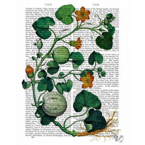 Squash Vine 2 Black Modern Wood Framed Art Print with Double Matting by Fab Funky