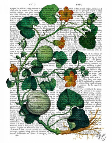 Squash Vine 2 Black Ornate Wood Framed Art Print with Double Matting by Fab Funky