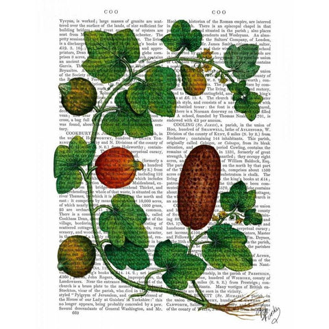 Squash Vine 3 Gold Ornate Wood Framed Art Print with Double Matting by Fab Funky