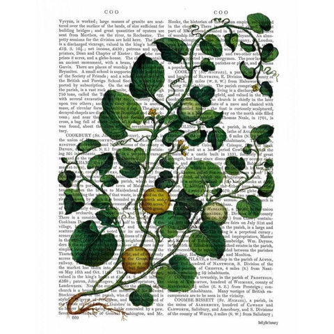 Squash Vine 4 White Modern Wood Framed Art Print by Fab Funky