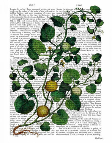 Squash Vine 4 White Modern Wood Framed Art Print with Double Matting by Fab Funky