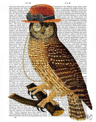 Owl with Steampunk Style Bowler Hat Black Ornate Wood Framed Art Print with Double Matting by Fab Funky