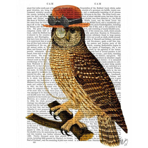 Owl with Steampunk Style Bowler Hat Black Modern Wood Framed Art Print with Double Matting by Fab Funky