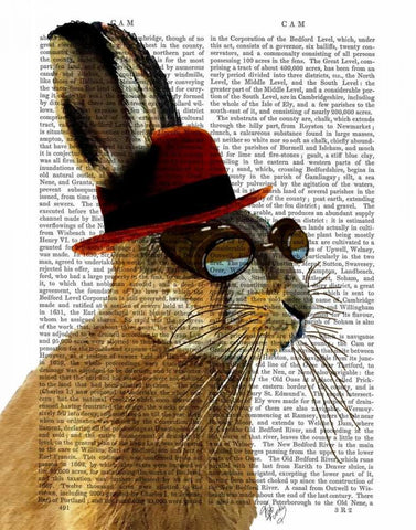 Steampunk Hare with Bowler Hat Black Ornate Wood Framed Art Print with Double Matting by Fab Funky