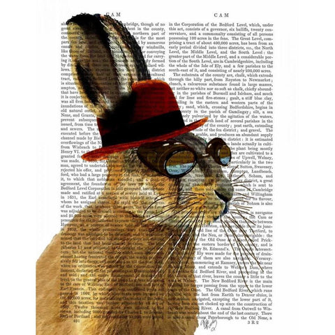 Steampunk Hare with Bowler Hat Black Modern Wood Framed Art Print with Double Matting by Fab Funky