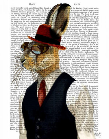 Horatio Hare In Waistcoat White Modern Wood Framed Art Print with Double Matting by Fab Funky