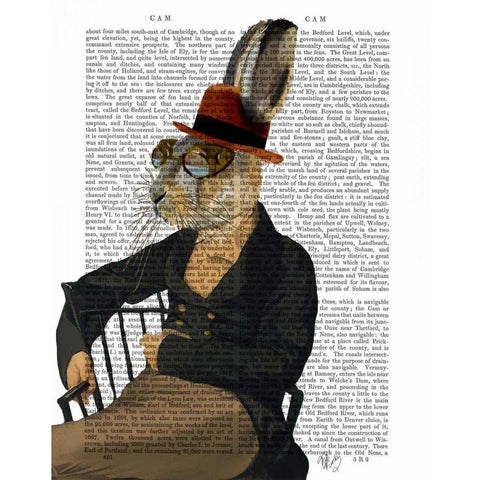 Horatio Hare On Chair Black Modern Wood Framed Art Print with Double Matting by Fab Funky