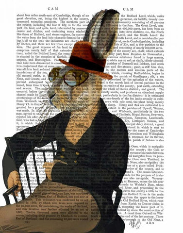 Horatio Hare On Chair White Modern Wood Framed Art Print with Double Matting by Fab Funky