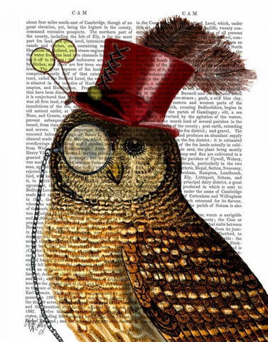 Owl With Top Hat White Modern Wood Framed Art Print with Double Matting by Fab Funky