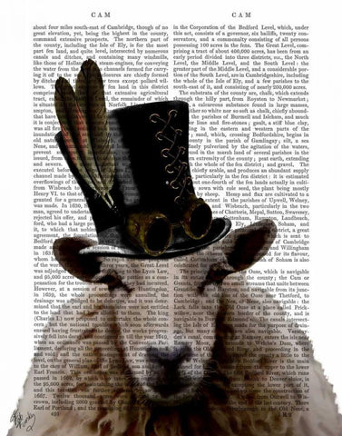 Steampunk Sheep White Modern Wood Framed Art Print with Double Matting by Fab Funky