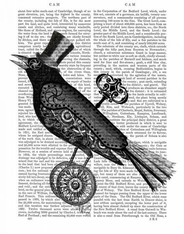 Steampunk Crow Black Ornate Wood Framed Art Print with Double Matting by Fab Funky