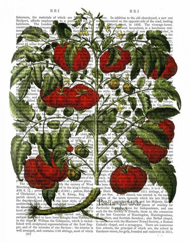 Tomato Plant White Modern Wood Framed Art Print with Double Matting by Fab Funky