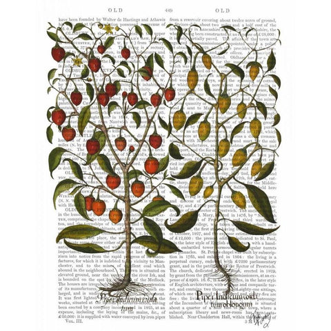 Peppers 1 Gold Ornate Wood Framed Art Print with Double Matting by Fab Funky