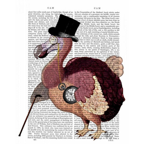 Dapper Dodo Black Modern Wood Framed Art Print with Double Matting by Fab Funky