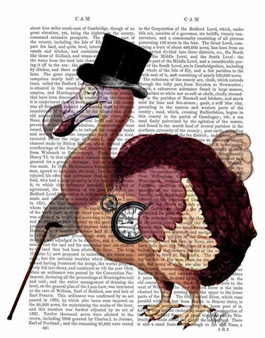 Dapper Dodo Black Ornate Wood Framed Art Print with Double Matting by Fab Funky