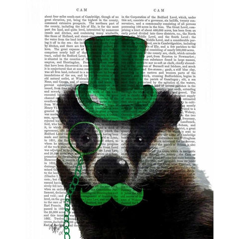 Badger with Green Top Hat and Moustache Black Modern Wood Framed Art Print with Double Matting by Fab Funky