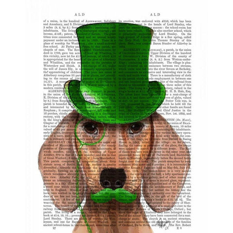 Dachshund With Green Top Hat and Moustache Black Modern Wood Framed Art Print with Double Matting by Fab Funky