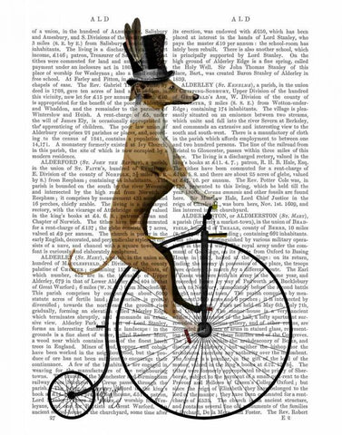 Greyhound on Black Penny Farthing Bike Black Ornate Wood Framed Art Print with Double Matting by Fab Funky