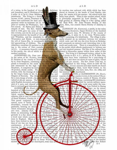 Greyhound on Red Penny Farthing Bike White Modern Wood Framed Art Print with Double Matting by Fab Funky