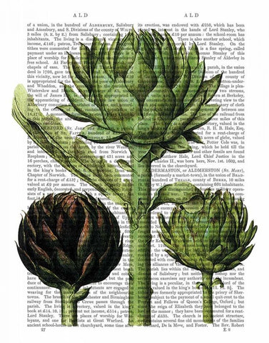 Globe Artichoke Print 1 White Modern Wood Framed Art Print with Double Matting by Fab Funky