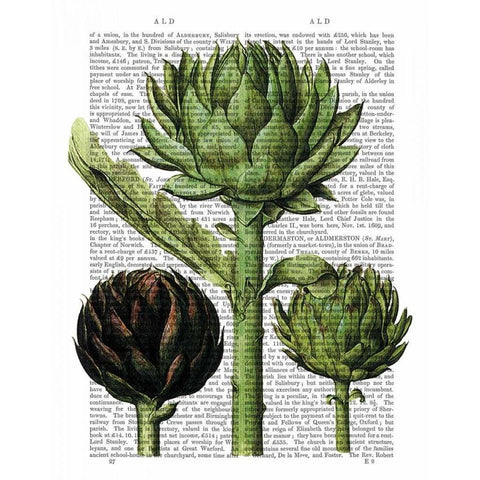 Globe Artichoke Print 1 Black Modern Wood Framed Art Print with Double Matting by Fab Funky