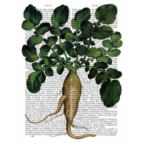 Parsnip 1 White Modern Wood Framed Art Print by Fab Funky